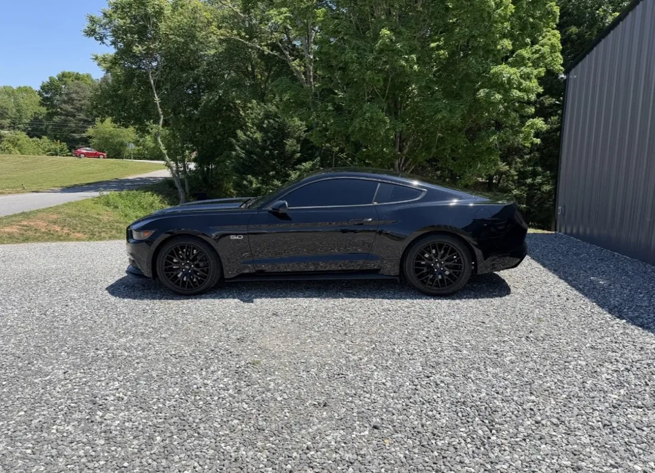 Black Ford Mustang GT with fresh window tint